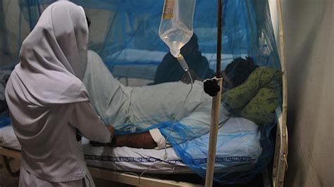 K­e­n­y­a­­d­a­ ­­s­ı­t­m­a­­ ­3­0­ ­c­a­n­ ­a­l­d­ı­